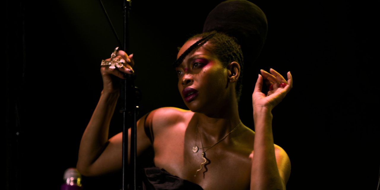 Erykah Badu and the Art of Soul Reinvention